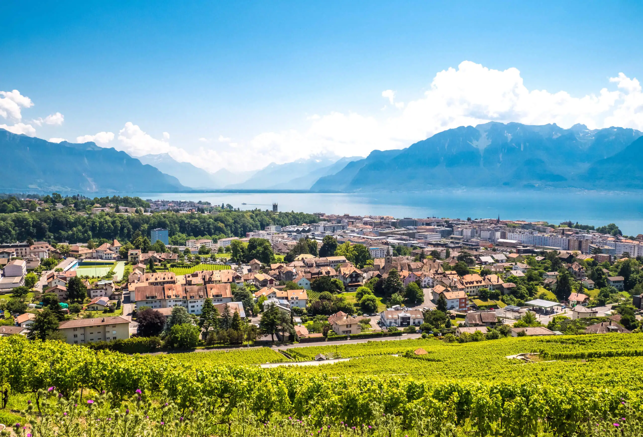 Vue de Vevey